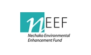 2023 NEEF Annual Report